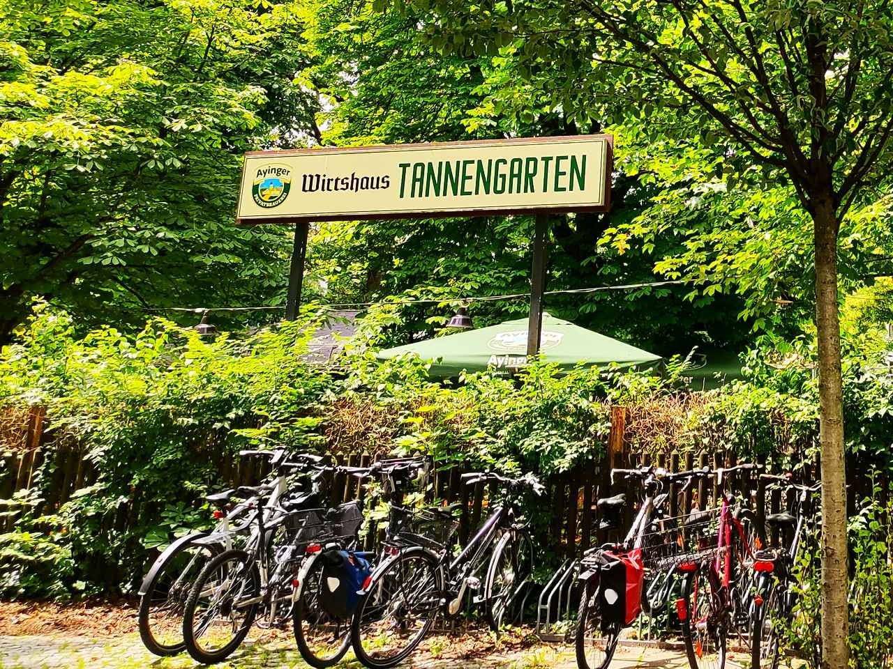 Tannengarten